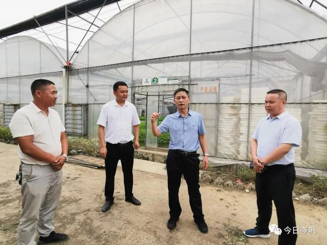 县委书记陈正锋深入天马平庄客楼调研指导工作