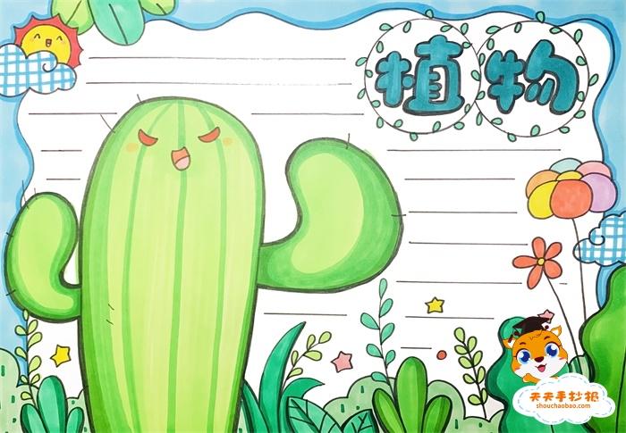 植物手抄报简单又漂亮模板教程,关于植物的手抄报内容