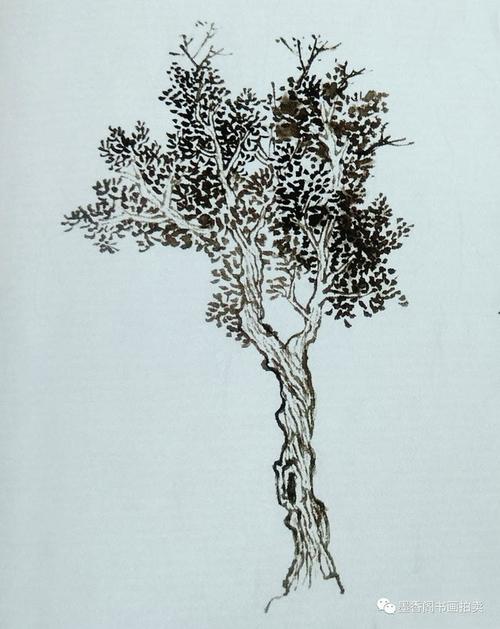 国画入门教学:树的画法