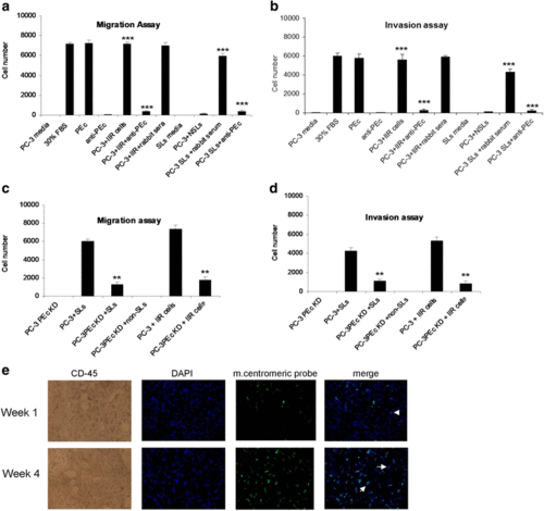 il-6 is associated to igf-1ec upregulation and ec