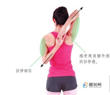 肩部肌肉拉伸动作图解,拉伸肩部肌肉的注意事项优质