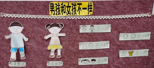 班本课程"男孩女孩不一样"(托班)