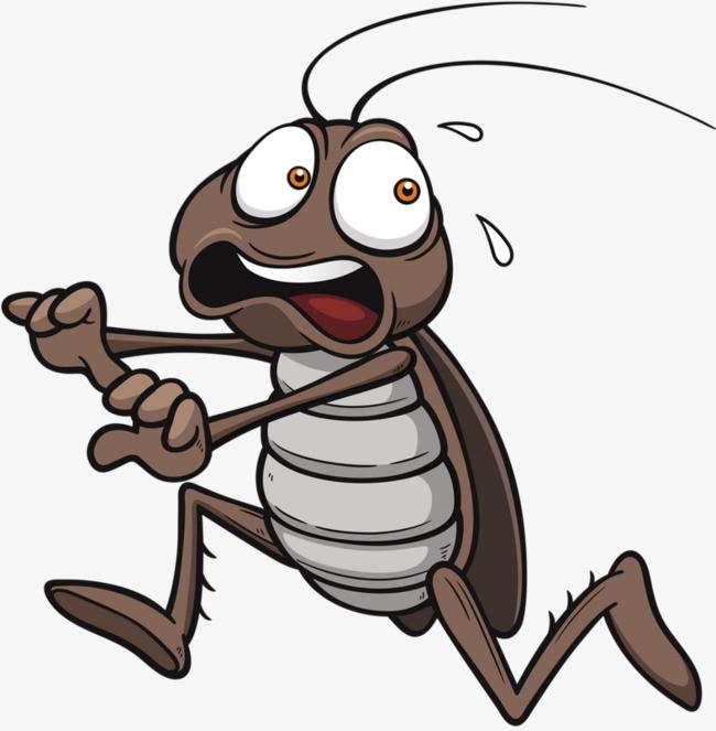 搜图中国 元素 >胆小的蟑螂  汗滴 蟑螂 卡通 灰色 【本作品下载内容