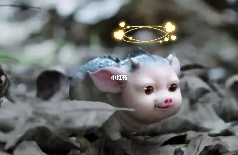 追剧琉璃中 亭奴的灵兽当康好可爱,小小的肥肥的 当的