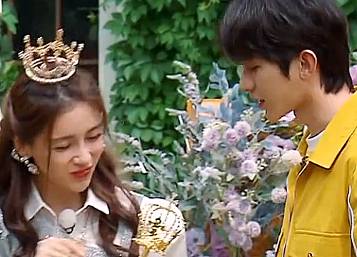 郑恺,angelababy,蔡徐坤