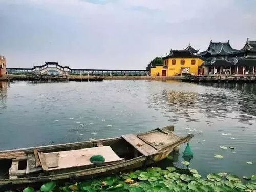 南京周边这8个春光正好的小众景点,一天打来回!