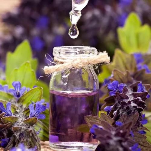 薰衣草~精油里的万能战士