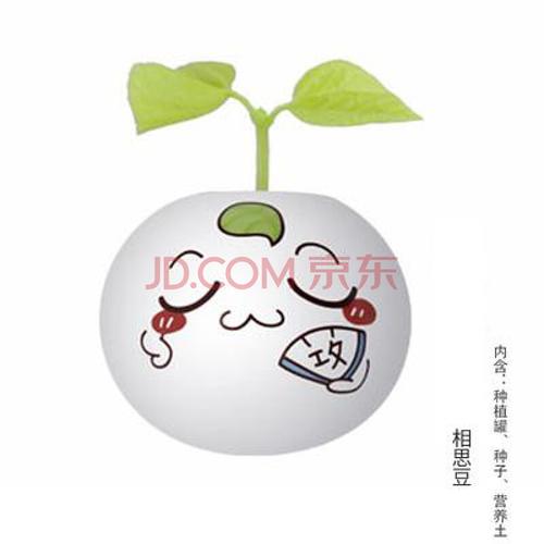 长草娃娃 小花农小草人迷你室内长草头娃娃可爱创意小