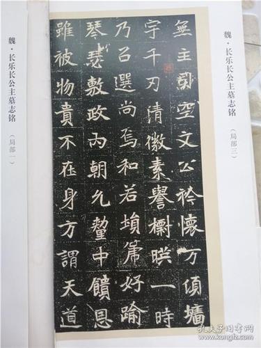 长乐长公主墓志铭—北魏墓志书法精选(12开)活页装