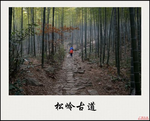 山北松岭古道----初驴徒步好去处