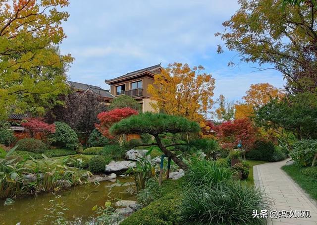 「景观手绘」怎么处理植物爆炸的复杂场景|轮廓|主景