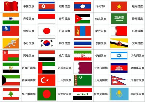 幼儿认识各国家国旗