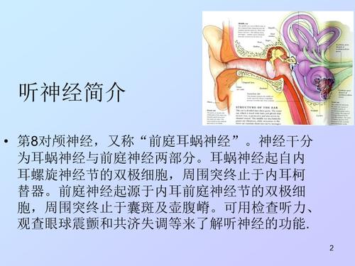 听神经瘤诊断ppt课件.ppt
