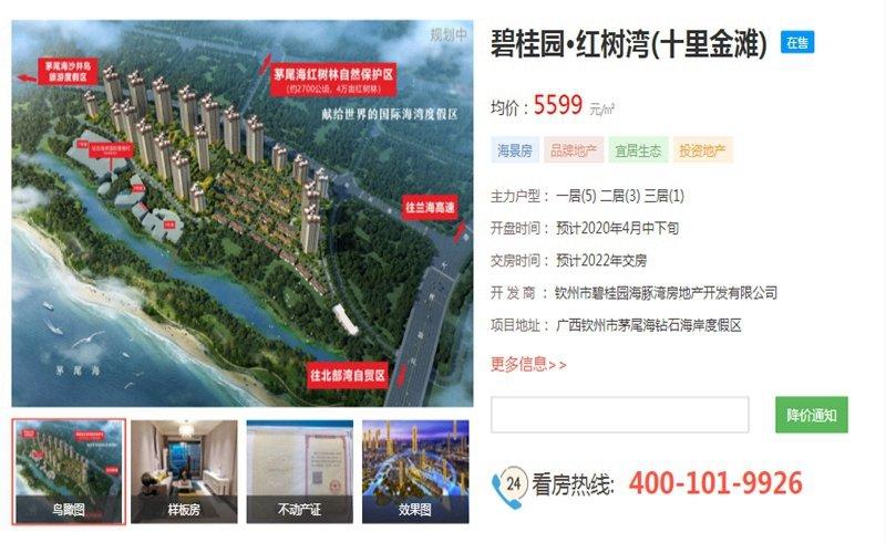 年雄厚文旅经验结合茅尾海独特的旅游资源优势融入到碧桂园十里金滩