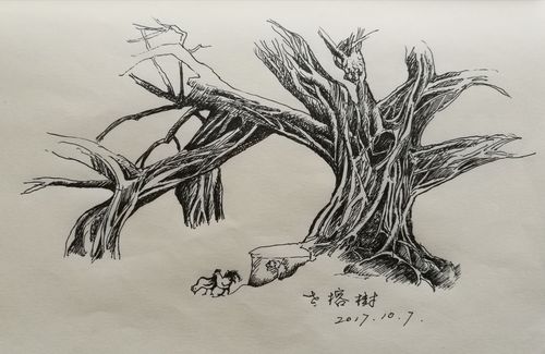 配诗速写一组 作者/范嘉桓