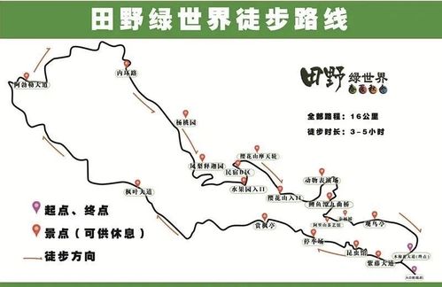 【aa山行】佛冈田野绿世界枫叶大道徒步 新丰云髻山登山-2天1晚旅行
