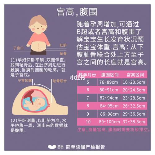 宫高腹围胎心羊水?