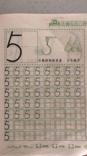 康贝儿金林碧水幼儿园中班数学《在田字格里正确书写数字宝宝5》
