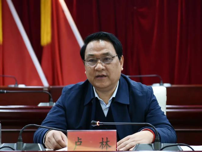 毕节市委常委,黔西县委书记卢林出席会议并讲话