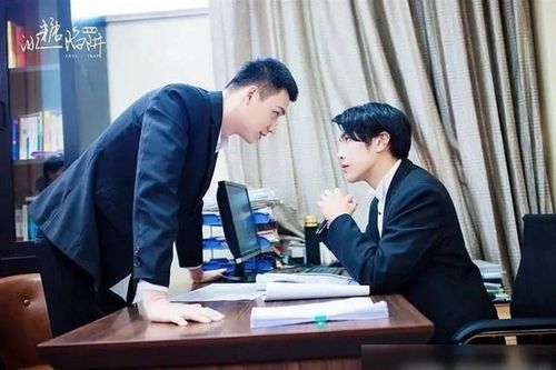 国内双男主耽改腐剧上线 是否会再次被改成兄弟情?