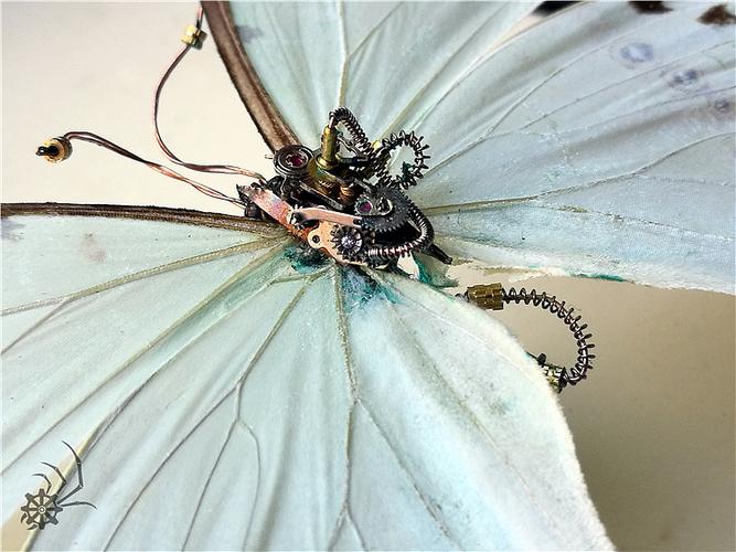 蒸汽朋克昆虫 精灵系列— 肯特白闪蝶