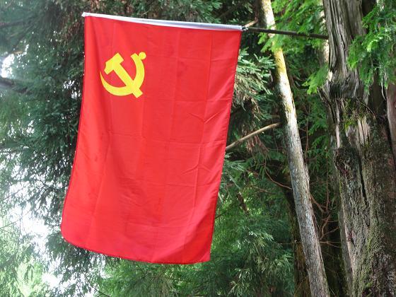 红色摇篮今更红