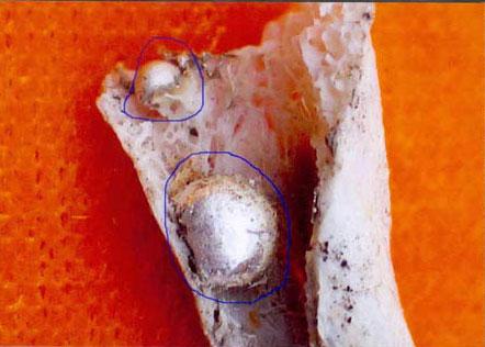 107岁老尼圆寂 火化留下20多颗舍利子(组图)
