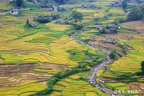 《秋季乡村梯田风景》九尾龟-协助拍摄