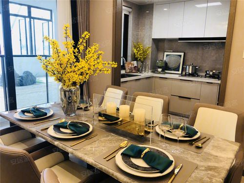 龙湖·春江郦城样板间图