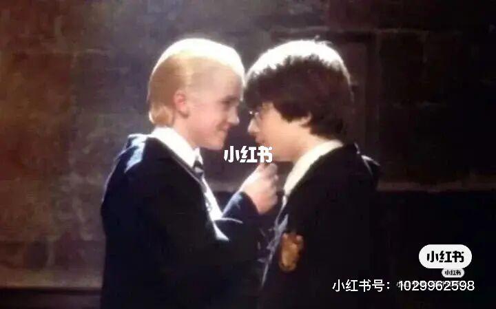 用恋爱投资学浅谈马尔福和哈利波特_投资_哈利波特_恋爱_故事_言情