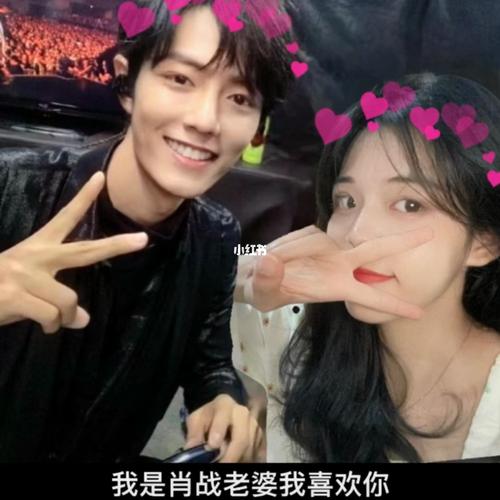 肖战的老婆们_肖战_娱乐_明星娱乐资讯