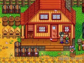 星露谷物语神秘森林 斗图表情包大全   与  星露