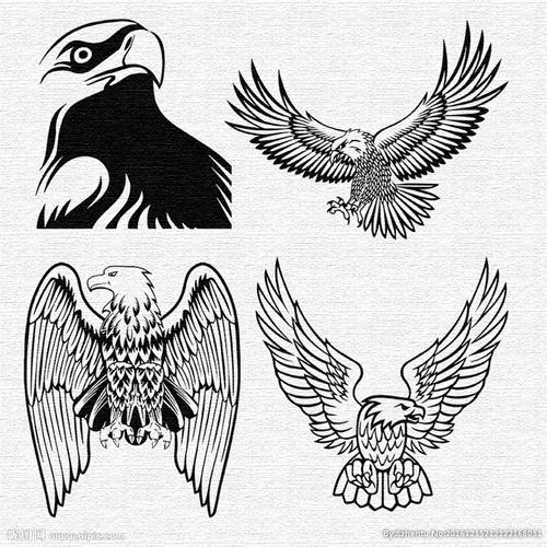 鹰图案图片