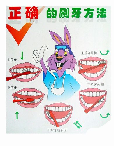 怎样刷牙