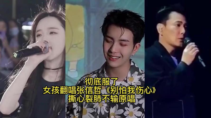 彻底服了女孩翻唱张信哲别怕我伤心撕心裂肺不输原唱