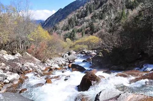 孟屯河谷-图片-理县周边游-大众点评网