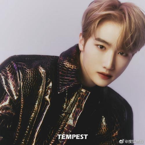 tempest组合超话