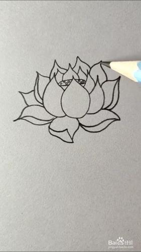 荷花的简笔画如何画?