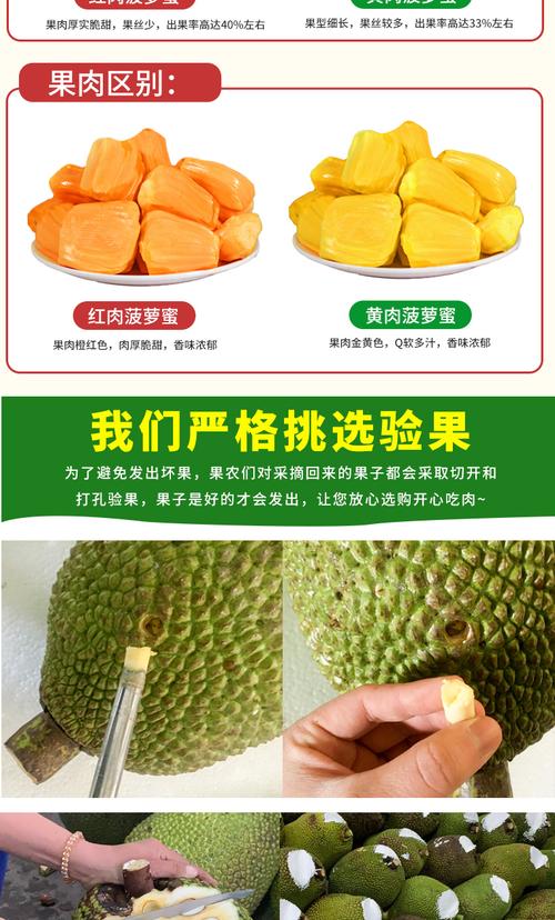 现货现发越南红肉菠萝蜜老树结果一整个618斤红心波罗蜜当季新鲜水果