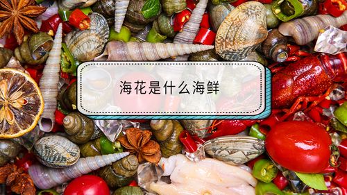 海花是什么海鲜