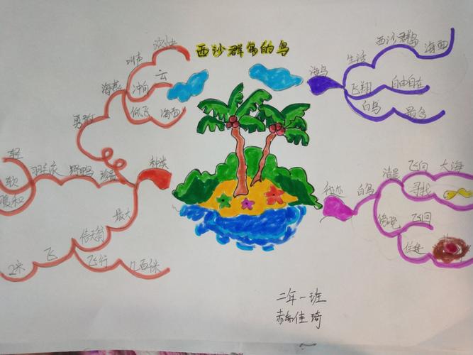 《西沙群岛的鸟》思维导图