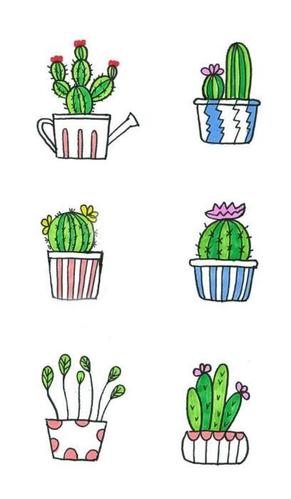 仙人掌··绘画