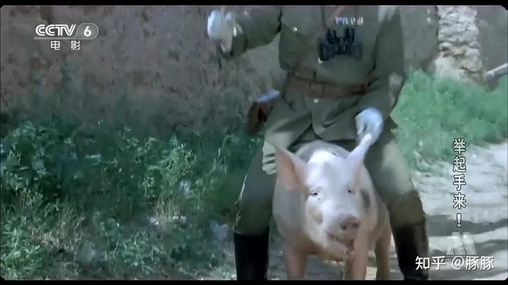 堪比喜剧老前辈潘长江参演的抗日影片《举起手来》中,日本军官骑猪的