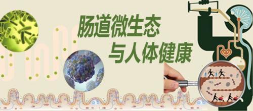 调理肠道菌群远离肛肠疾病