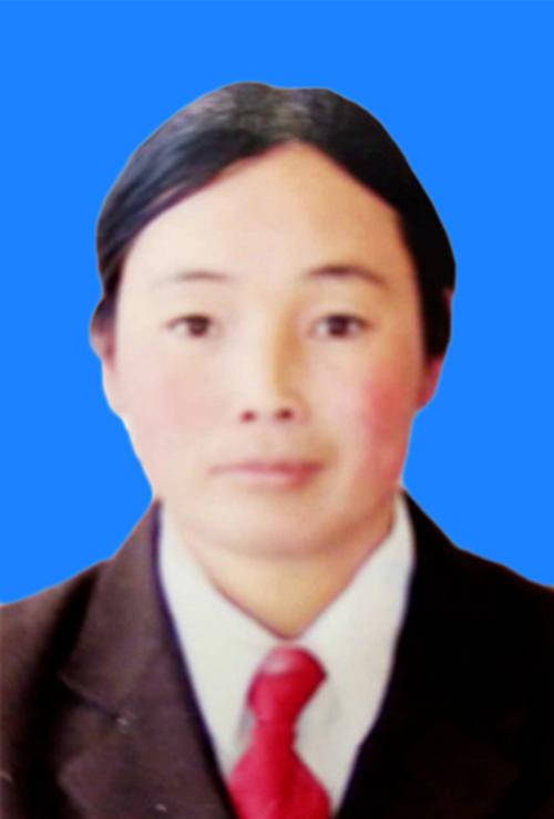 杨秀梅