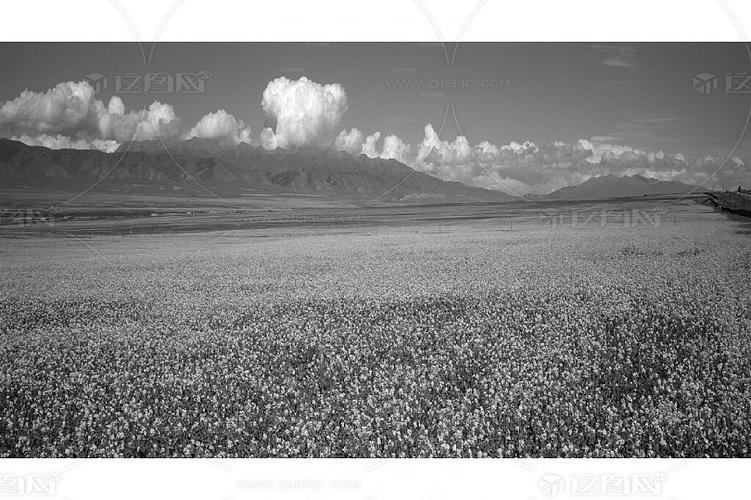 高清黑白田园风景摄影图片自然风光水墨山水唯美意境风景写意绿竹停亭