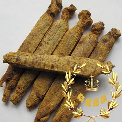 朝鲜高丽参别直参