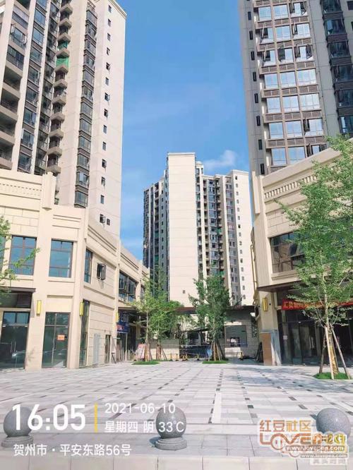 标题: 贺州康城一品业主被开发商欺诈数百万 (您是本帖第4199个阅读者