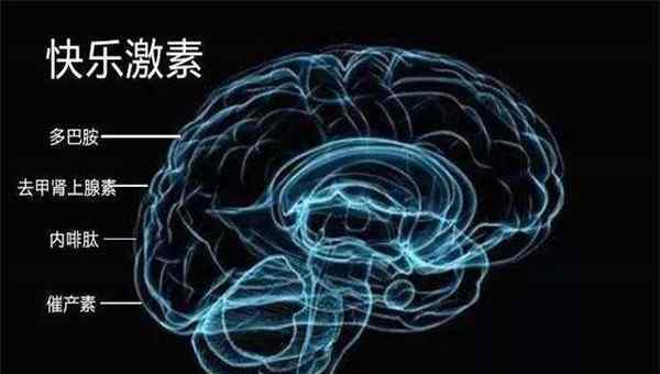 多巴胺分泌是什么 含多巴胺最多的食物是什么 吃什么