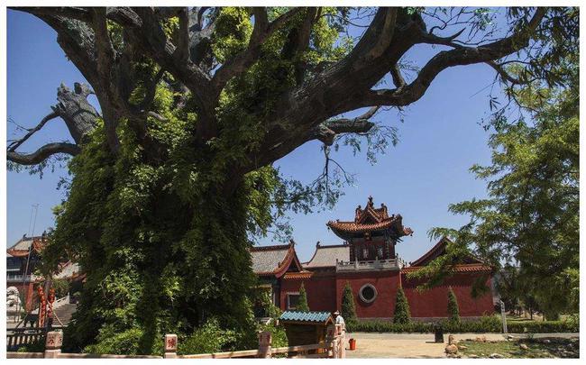 据说全国各地有大批姓氏从洪洞大槐树迁移而出包括你的姓氏吗